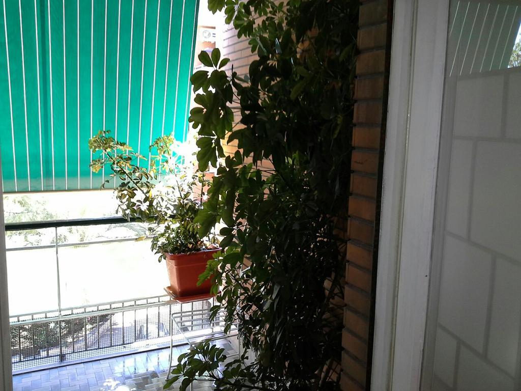 Olimpica Relais Guest House Roma Dış mekan fotoğraf