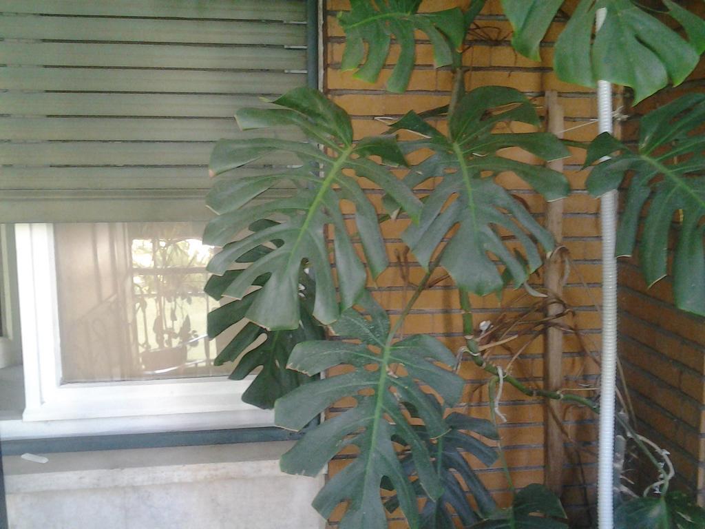 Olimpica Relais Guest House Roma Dış mekan fotoğraf